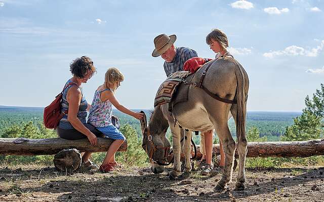 Kind streichelt Esel